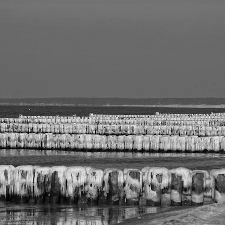 Zum Froschkoenig * Ahrenshoop
