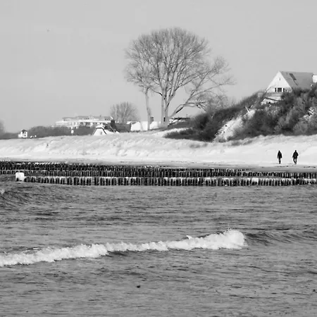 Zum Froschkoenig דירה *