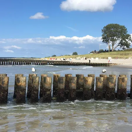 Zum Froschkoenig דירה