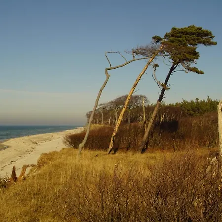 Zum Froschkoenig * ארנסהופ