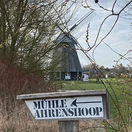 דירה Zum Froschkoenig *