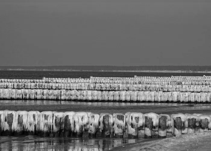 Zum Froschkoenig * Ahrenshoop