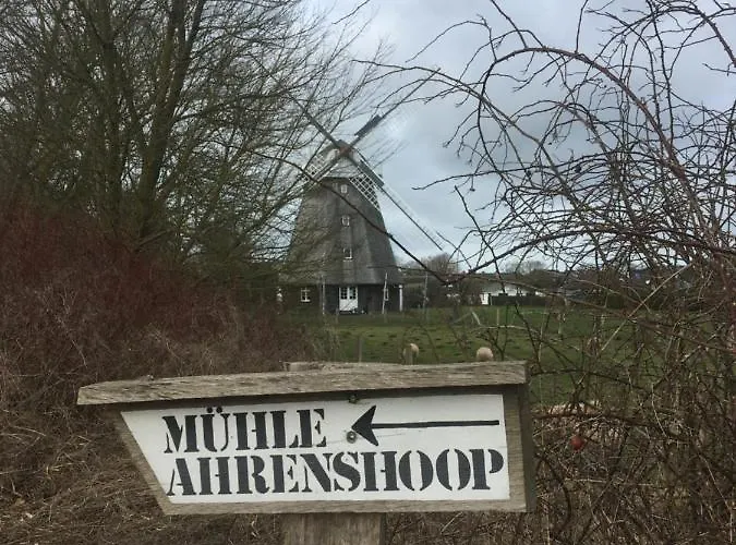 Apartamento Zum Froschkoenig *