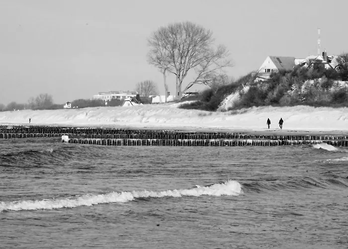 Zum Froschkoenig Apartamento *