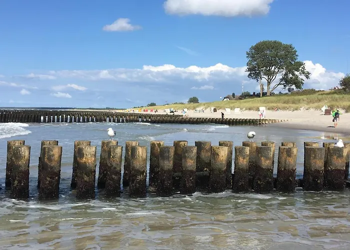 Zum Froschkoenig Apartamento