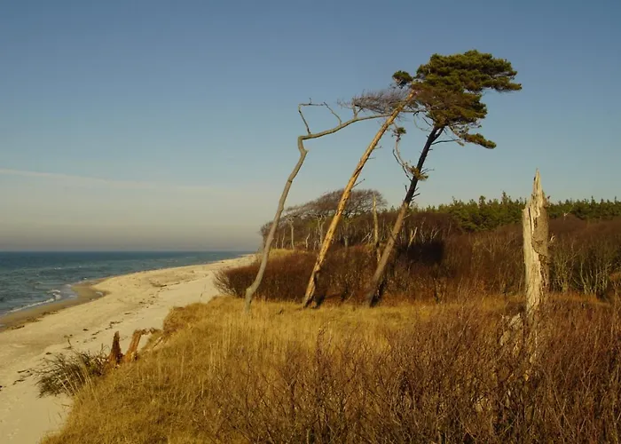 Zum Froschkoenig * Ahrenshoop