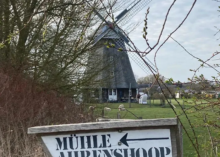 Apartamento Zum Froschkoenig *