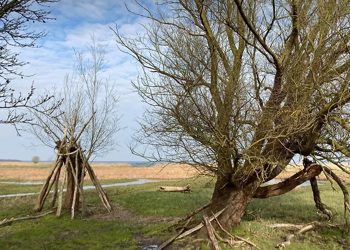 Apartamento Zum Froschkoenig